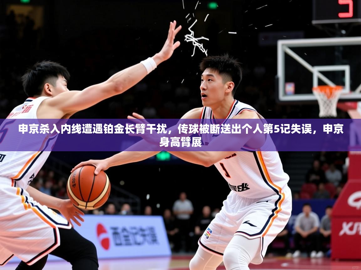 2025乐鱼体育在线网站申京杀入内线遭遇铂金长臂干扰，传球被断送出个人第5记失误，申京身高臂展  第3张