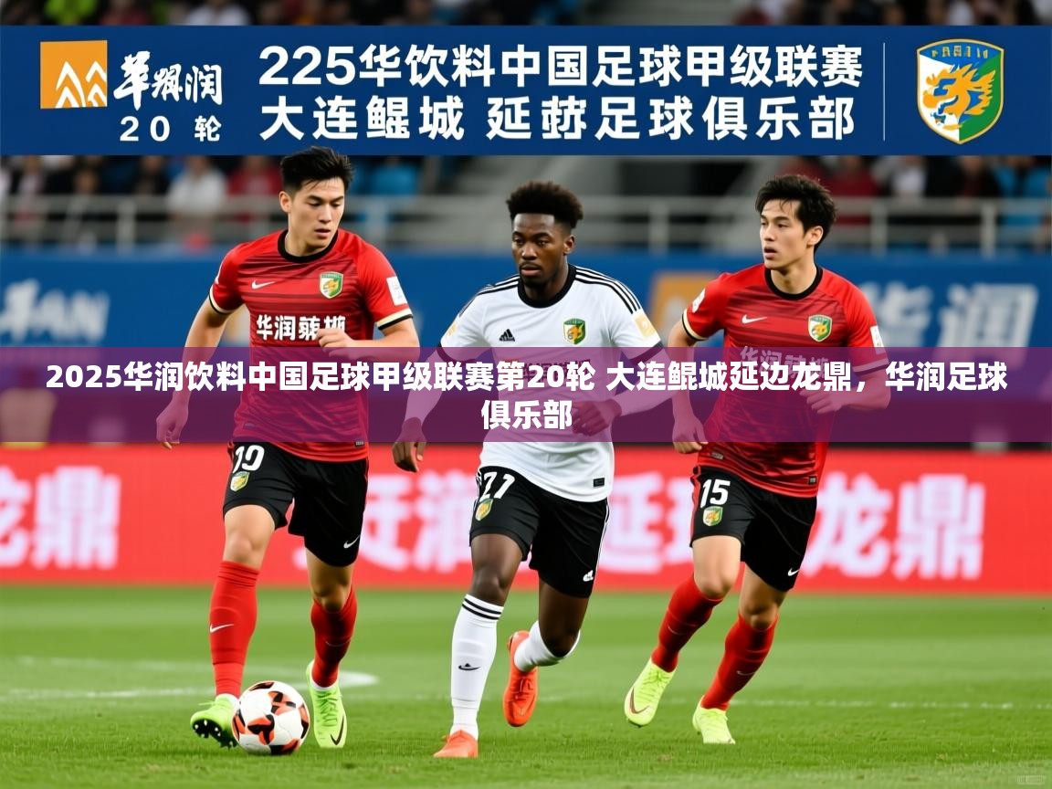 2025乐鱼体育网址2025华润饮料中国足球甲级联赛第20轮 大连鲲城延边龙鼎，华润足球俱乐部  第4张