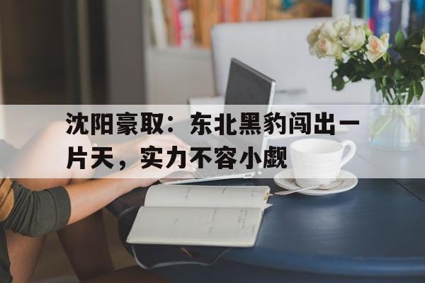 乐鱼app下载安装-包含沈阳豪取：东北黑豹闯出一片天，实力不容小觑的词条
