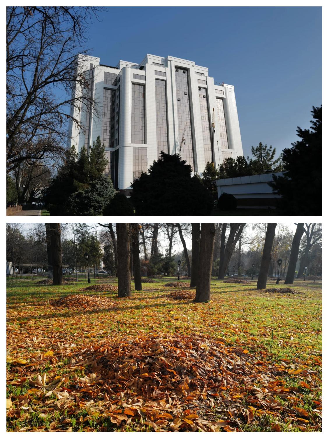 乐鱼体育app官网入口-乌兹别克斯坦联赛新赛季解读，塔什干市开始轰响的简单介绍